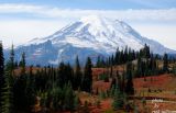 Pacific Crest Trail(with views of Mt.Rainier and subalpine meadows)
