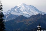 Pacific Crest Trail(with views of Mt.Rainier)