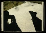 Shadows in the Shadows