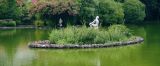 Park Pond