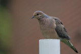 Wheres my feeder?