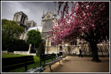 Notre Dame