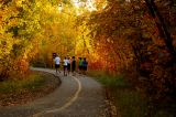 Fall Running