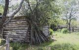 Log Building 2