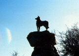 Sculpture and statues as seen around the world