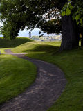 The Path Continues