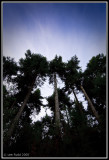 Sky Pointing