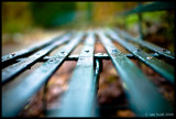 Park Life