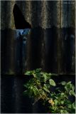 Fissure