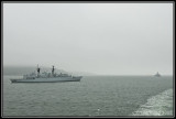 Grey Funnel Line