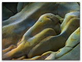 Shag Point Shapes