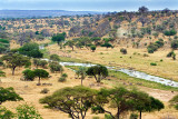 Tarangire River Valley and Wildlife