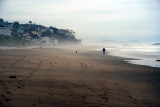 IMG_3390a.jpg
