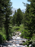IMG_0349.JPG