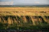 The valley in evening light