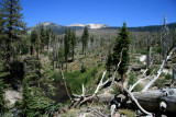IMG_3898.JPG