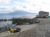 The fishing industry supports the local population.
