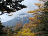 Mountain Light.