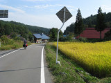 Keep your eyes on the road.