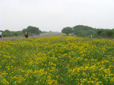<a href=http://hlee-roadletters.blogspot.com/target=_blank>Southern Tier Tour</a>