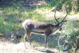 Fairbanks 11.jpg