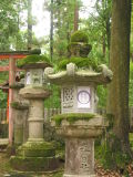 Japanese lantern