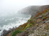 Bodega Bay 016.jpg