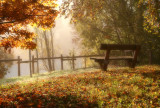 sun breaking through the fog