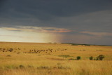 DSC_2824.JPG