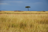 DSC_2954.JPG