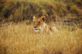 DSC_2969.JPG