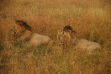 DSC_2990.JPG