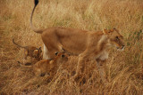 DSC_3041.JPG