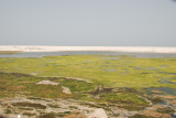 DSC_2449.JPG