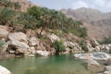 DSC_2484.JPG