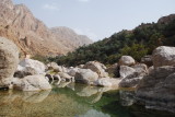 DSC_2499.JPG