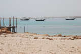 DSC_2503.JPG