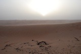 DSC_2584.JPG