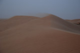 DSC_2592.JPG