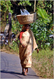 20 In Goa ladies use the head 2a.jpg