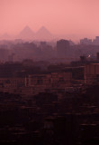 Cairo Evening