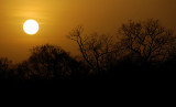 Niokolo Sunset III
