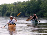 DSC02132.JPG