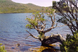 Dove Lake
