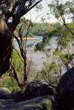 Lane Cove River