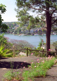 Great North Walk in suburbia - 1