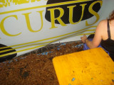 DSC04721.jpg