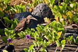DSC01645.jpg