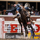 Bareback