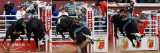 Bull Riding 1